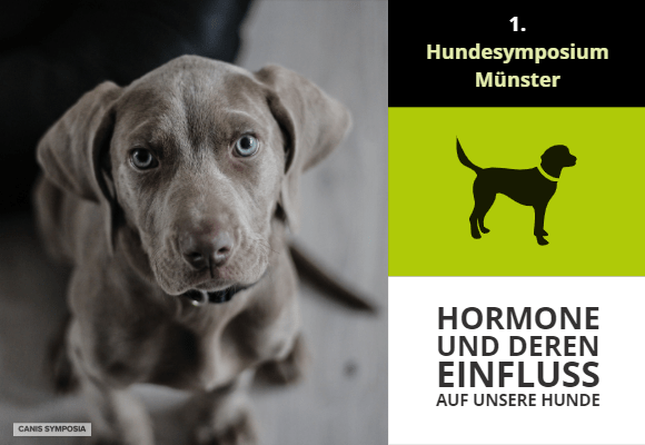 Kastration Und Verhalten Beim Hund Kindle Gk Books In Telugu Pdf Free
